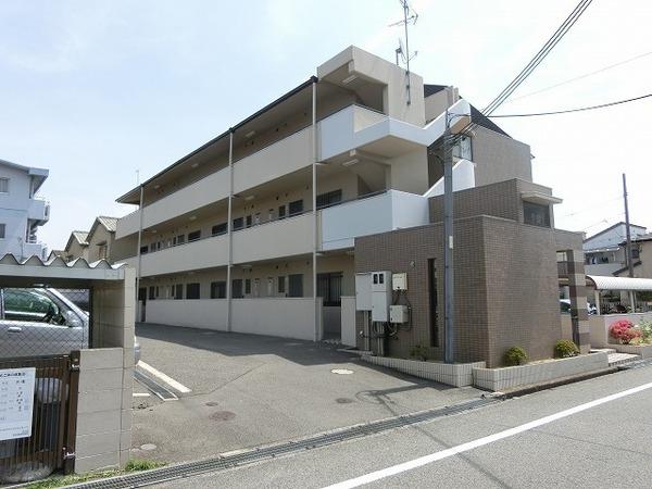 アミール西野