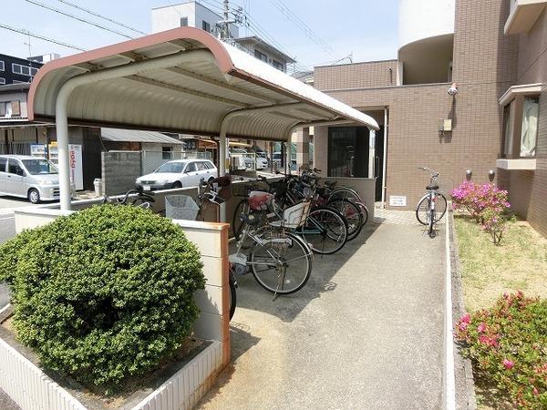 アミール西野