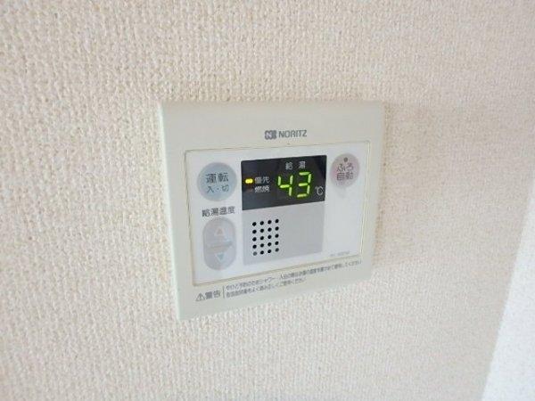 コージーオオトリ