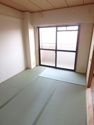 コージーオオトリ