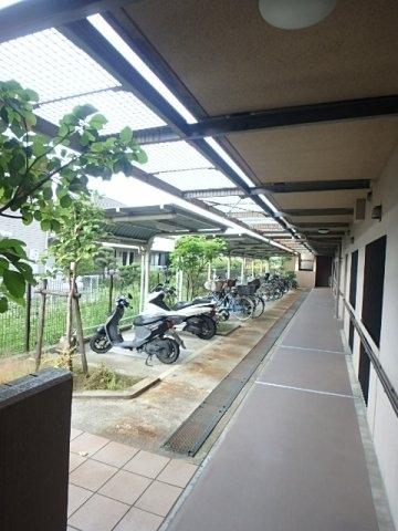 コージーオオトリ