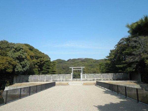 ドミールタチバナ五月町１(大仙陵古墳)