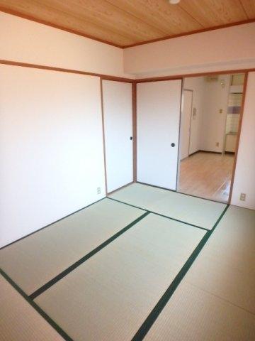 ドミールタチバナ五月町１