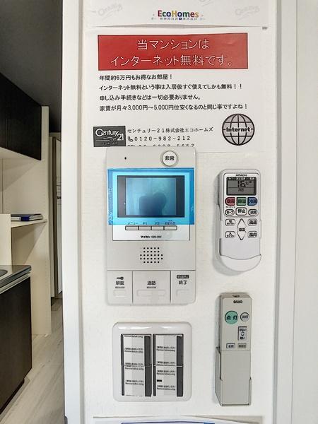 エヌエムキャトフヴァンシス
