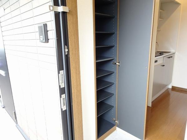 アンプルールフェールフォルス