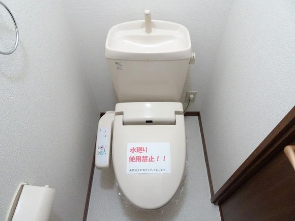 アンプルールフェールフォルス
