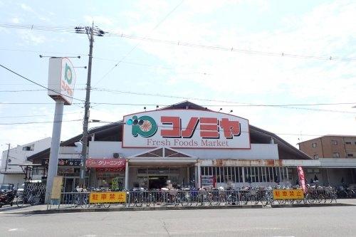 アルファ ヴィレッジ(コノミヤ浜寺石津店)