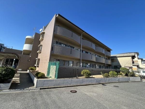 アミール西野