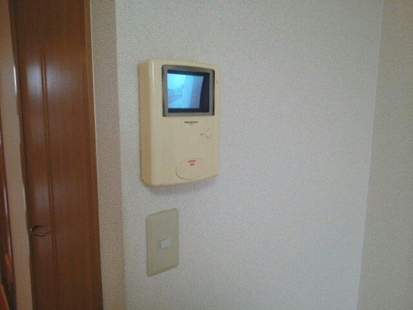 フィールドリヴ
