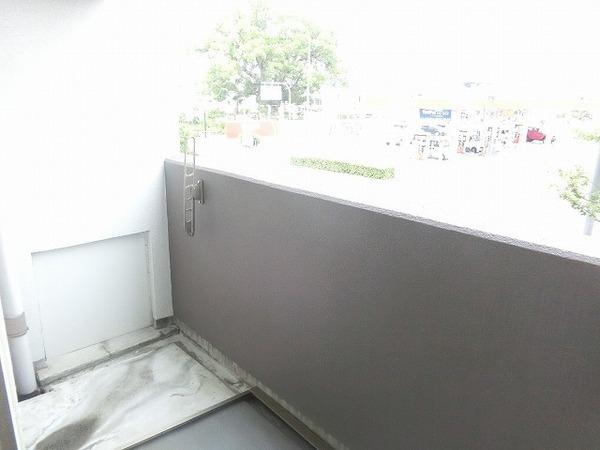プログレス　アペゼ