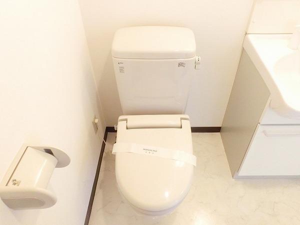 プログレス　アペゼ