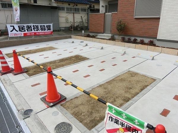 チアフル　フロッグ