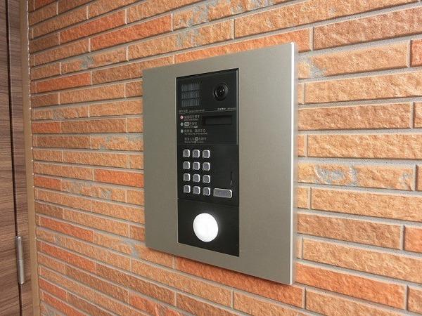 チアフル　フロッグ