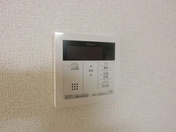 チアフル　フロッグ