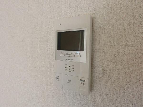 チアフル　フロッグ