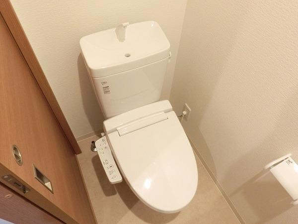 フィアスコート白鷺