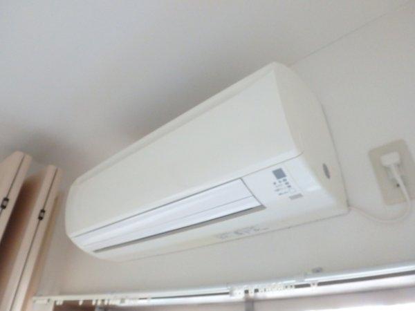 フェニックスさかい
