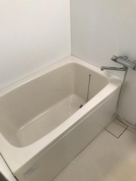 フェニックスさかい
