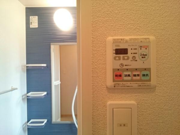 オリーブ２