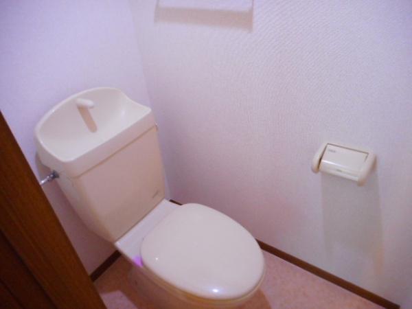 ステッラ１