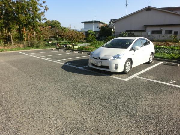 ヴェルドミール