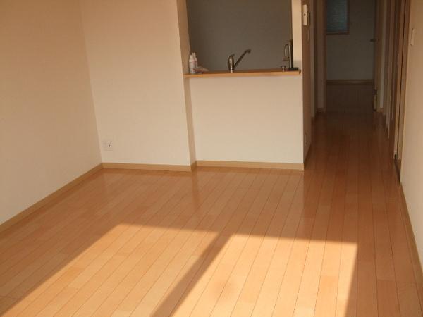アナスタシア片蔵Ｂ