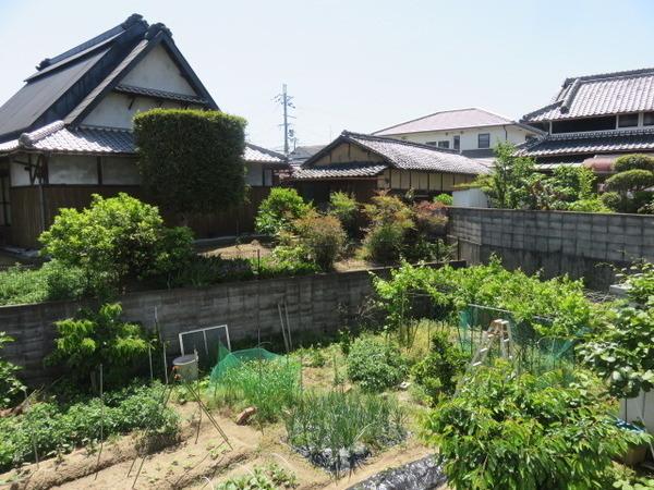 ジュネス金剛