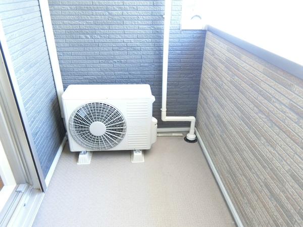 グレイスヴィオラ