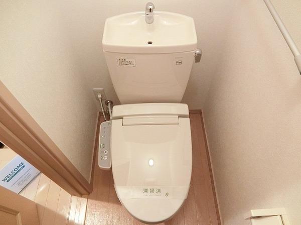 メゾンピエレ