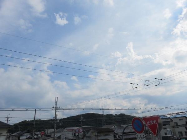 ＭＡＴＳＵＫＡＺＥ