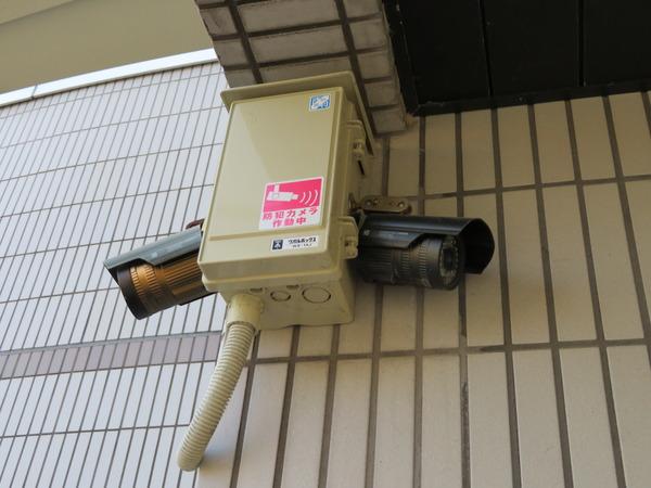 メゾンアルカディア金剛