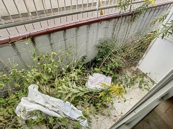 アマービレ千代田