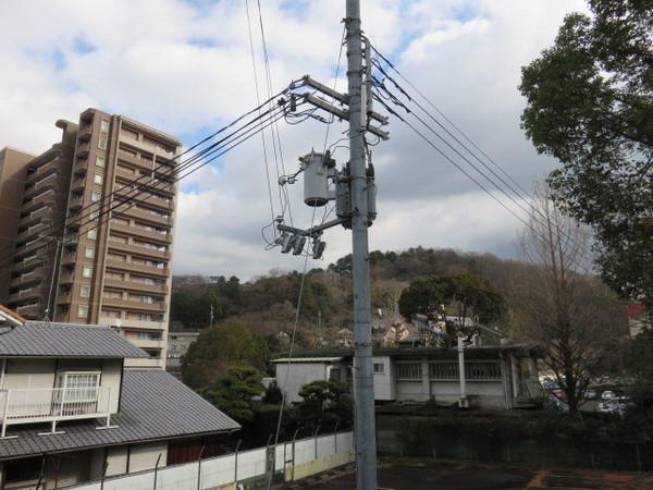 プチ・グリーン