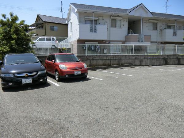バイオレット輝
