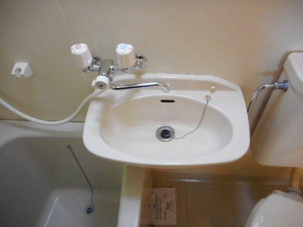 バイオレット輝