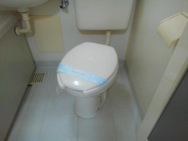バイオレット輝