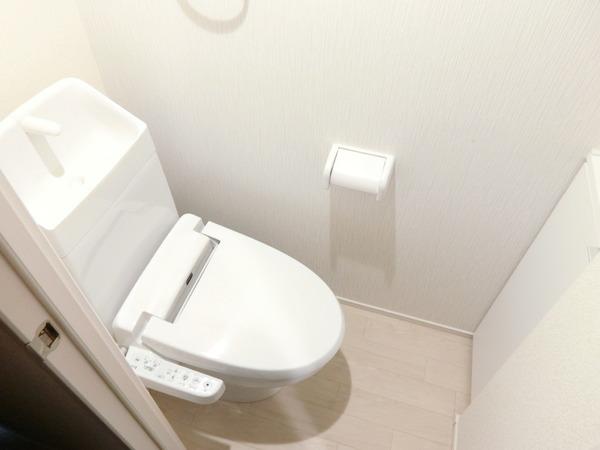 ミランダクオーレ