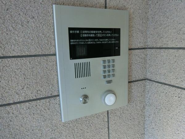 エレガンシア金剛