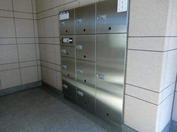 エレガンシア金剛