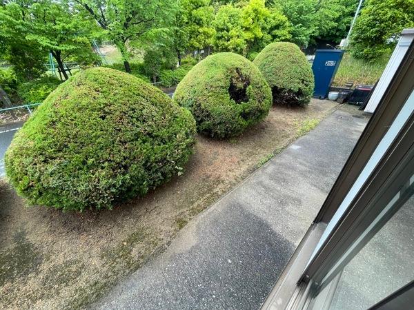 シャトードイワネＧ
