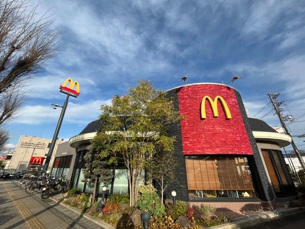 ヴェルドミール(マクドナルド外環河内長野店)