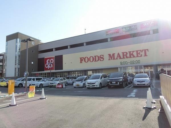 レオパレスSouthRiverⅡ(ココカラファインコープ和泉中央店)