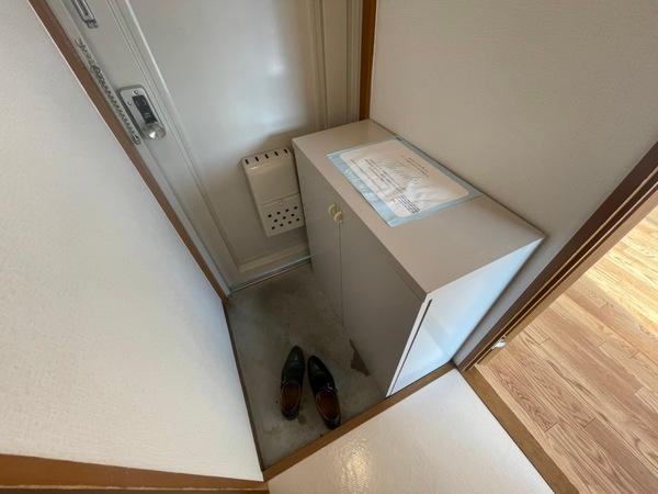 バイオレット輝