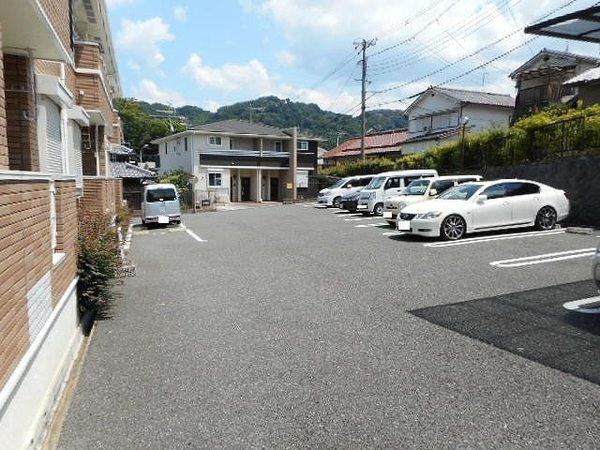 プラシード