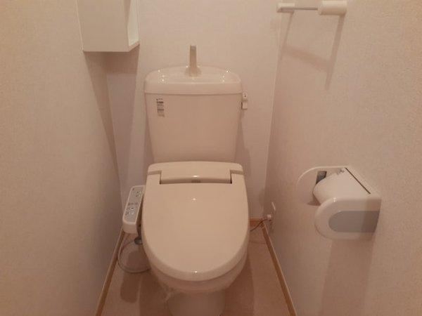 プラシード