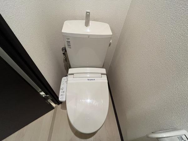 レオネクスト杉