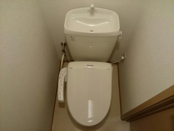 Ｍ・Ｙコート