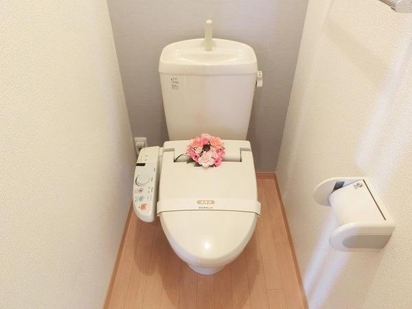サンフィールド3