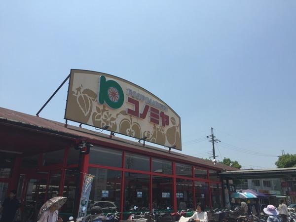 ハイツエンデバーＤ棟(コノミヤ狭山店)