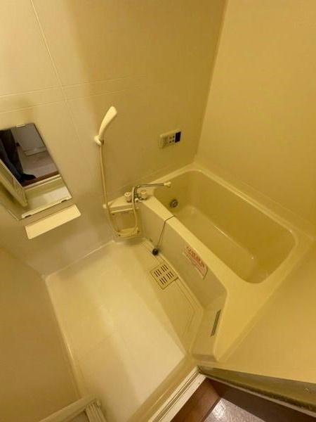 ステッラ1